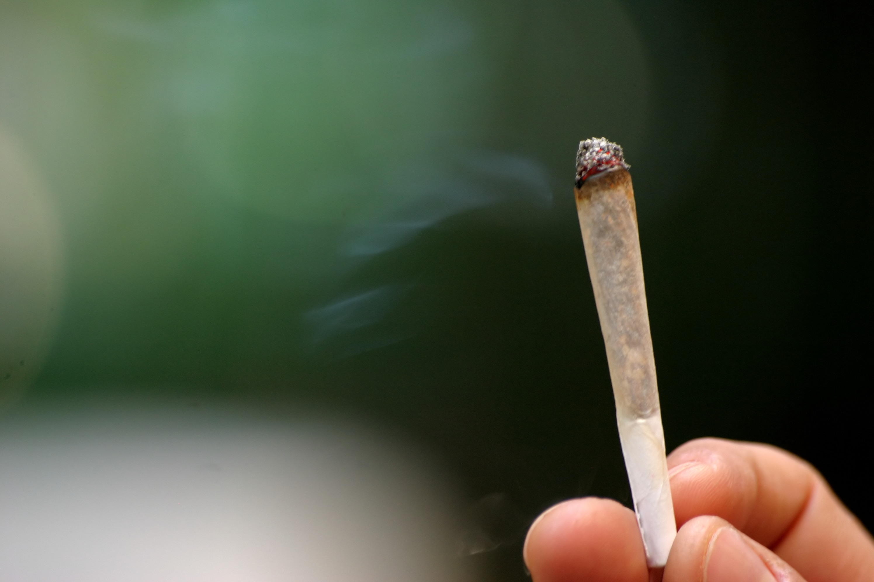 cannabis, joint, gros plan sur le joint