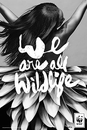 WWF, weareallwildlife, wildlife, environnement, nature, animaux, faune, flore, vie, espace, économie