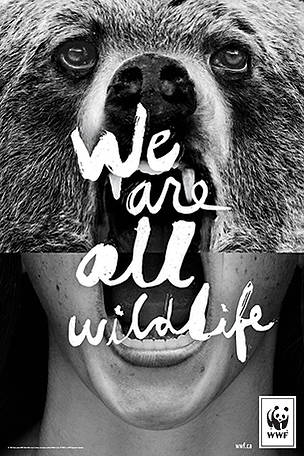 WWF, weareallwildlife, wildlife, animaux, vie, faune, flore, environnement, écologie