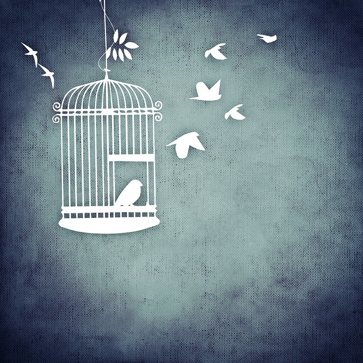 oiseau cage
