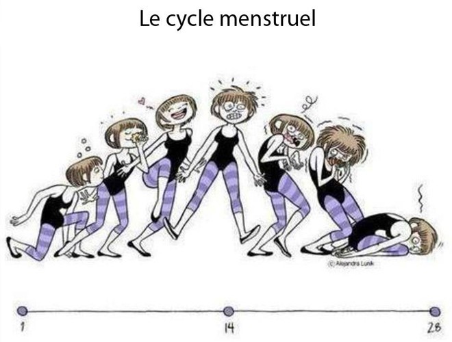 cycle menstruel