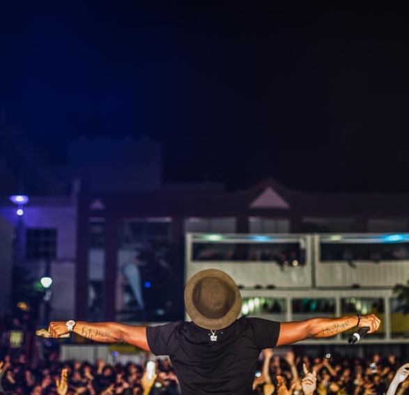 Festival, Été 2017, Montréal