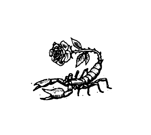 scorpion, personnalité