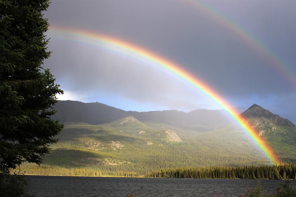 arc en ciel, positif, vie