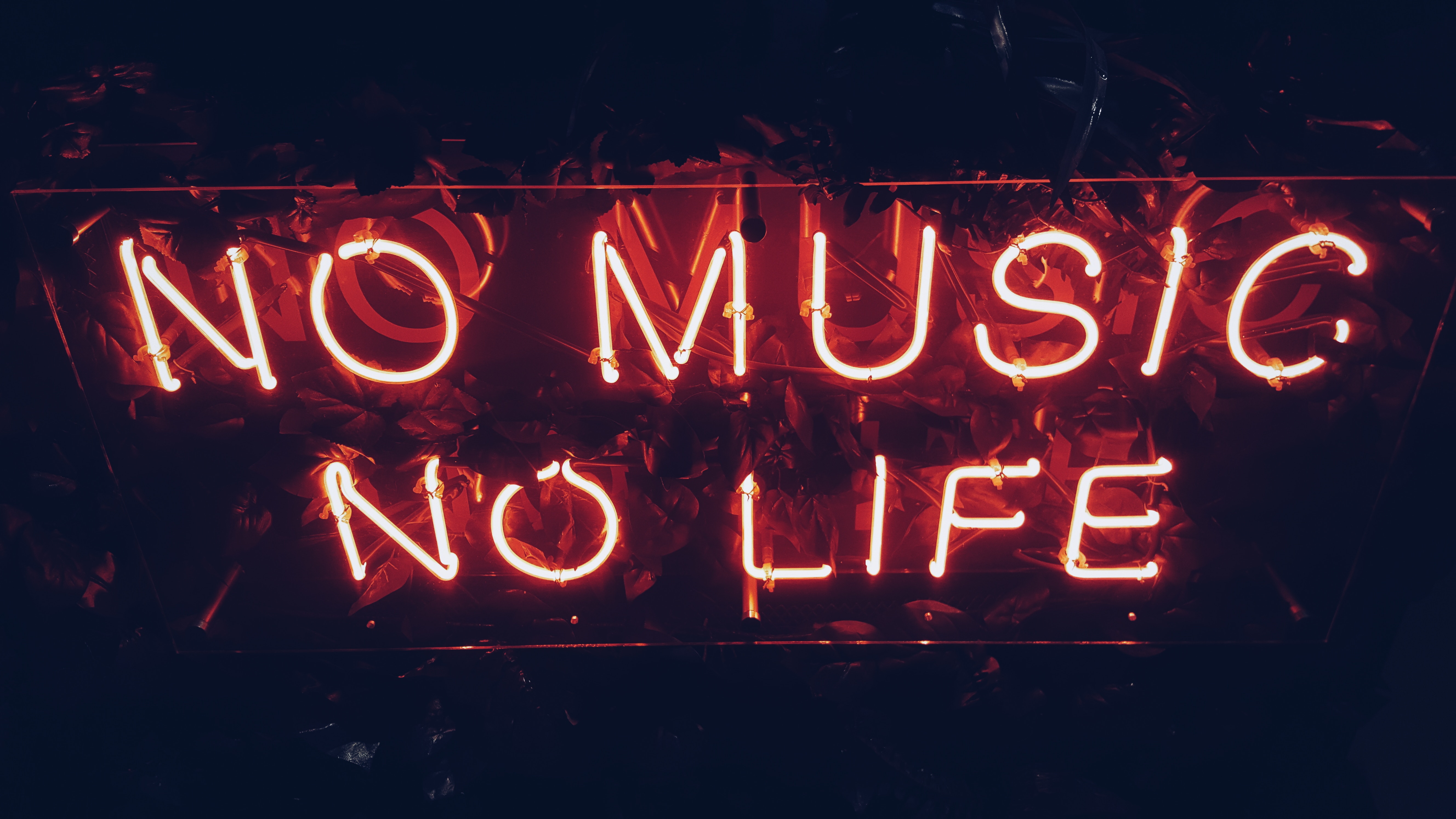 musique, émotions, vie, pas de vie sans musique