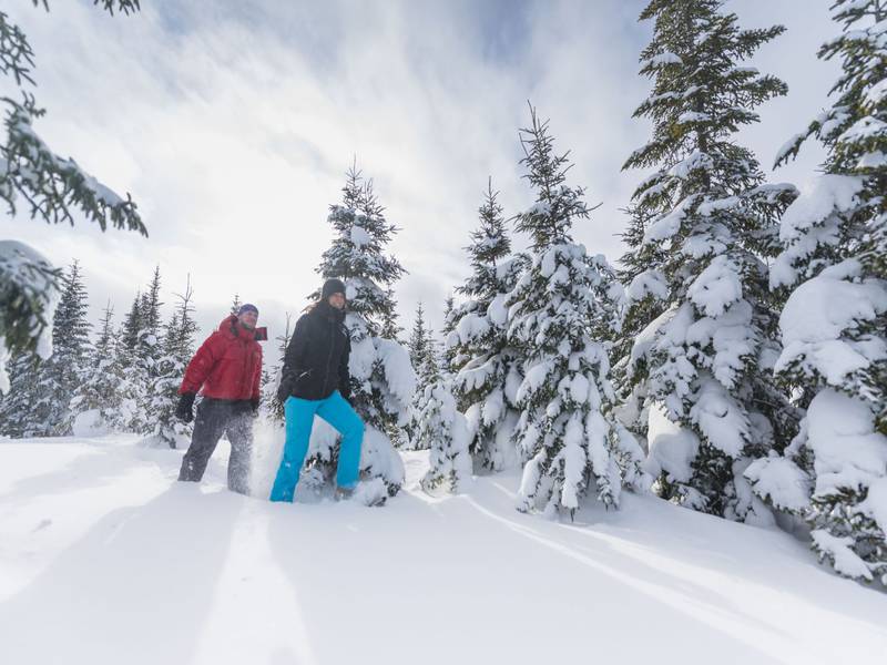 hiver ski fond québec activité mercier
