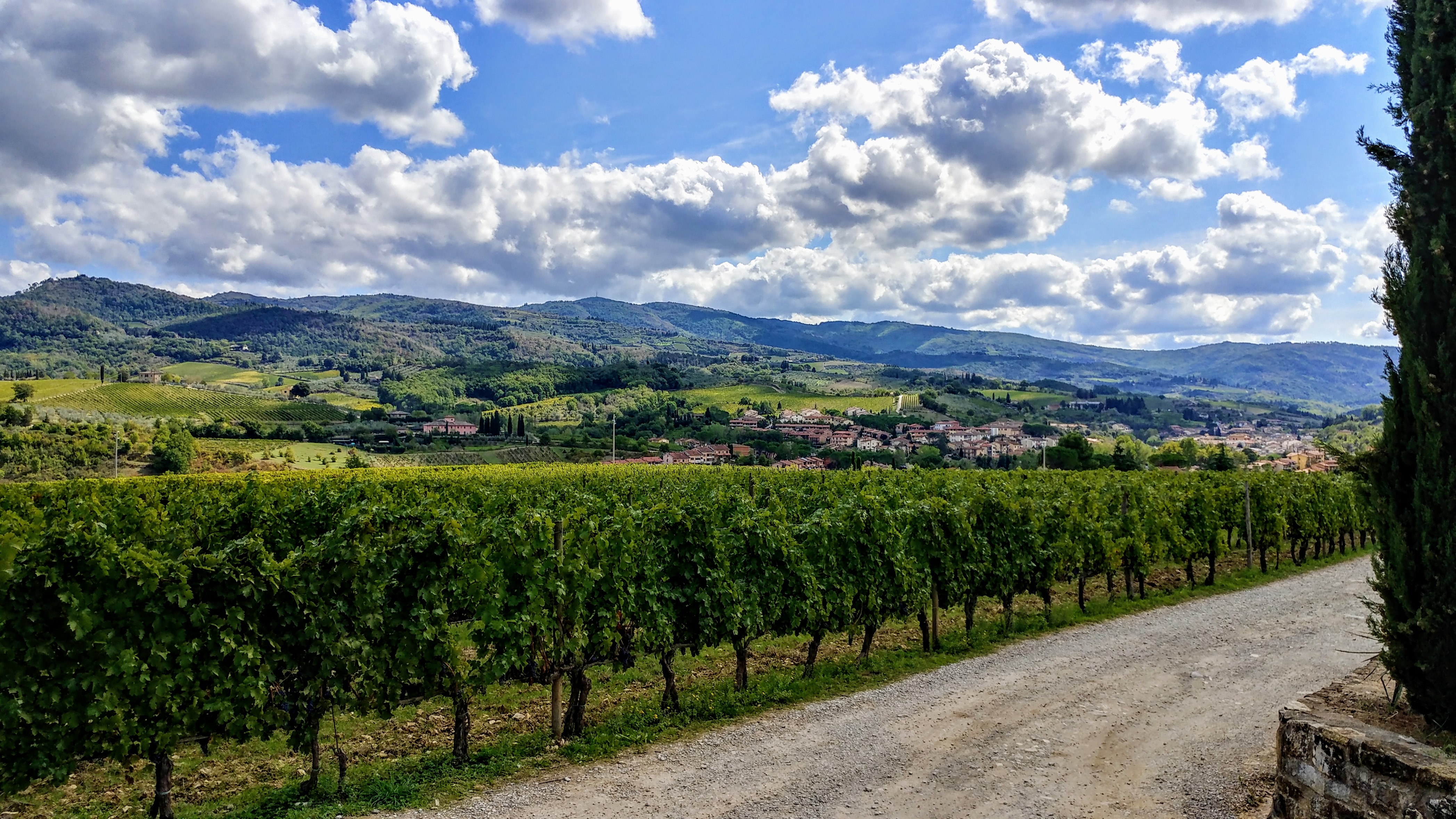Italie Florence Europe voyage destination paysage Chianti vignoble vin