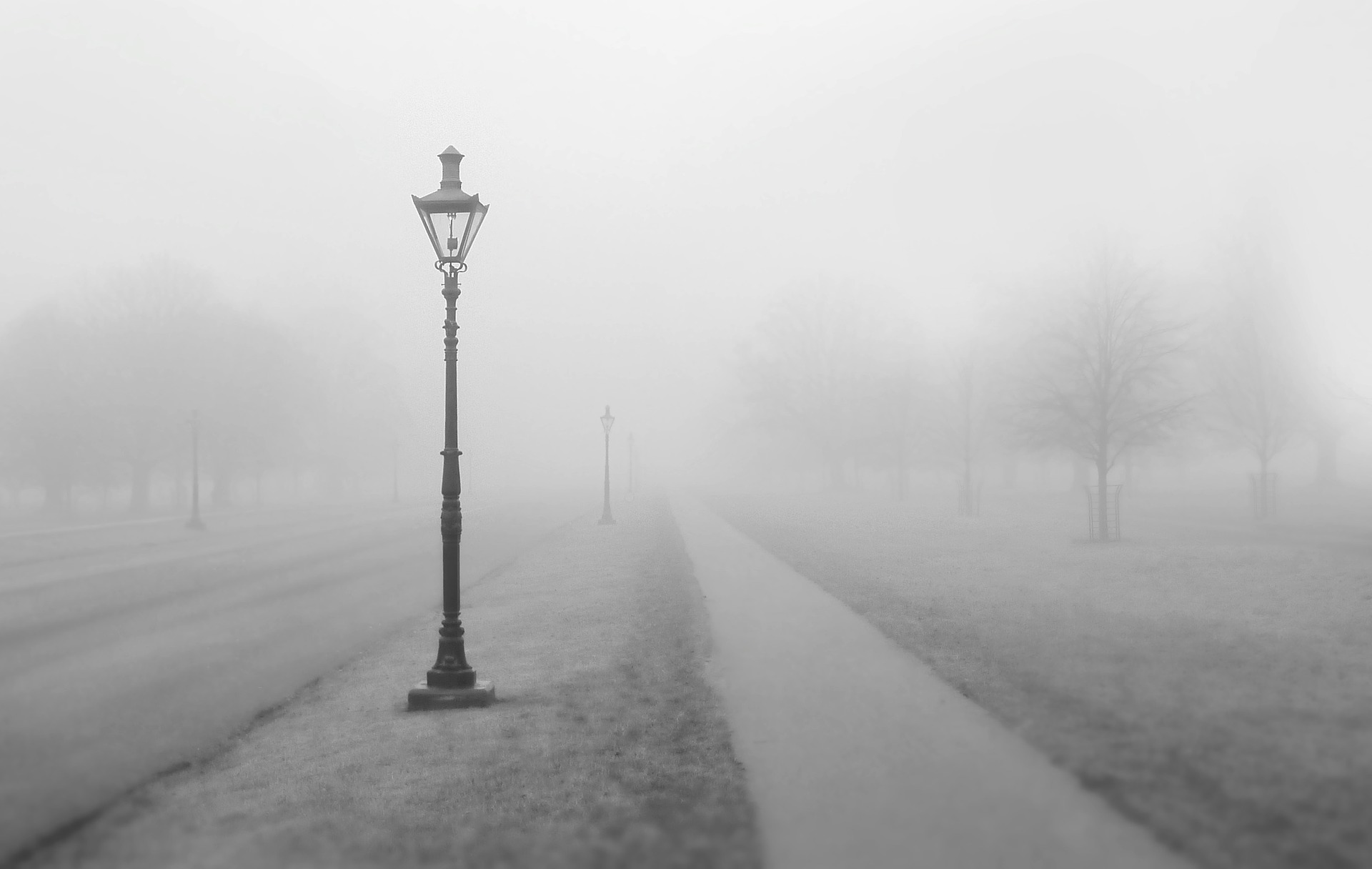 brume chemin lampadaire gris