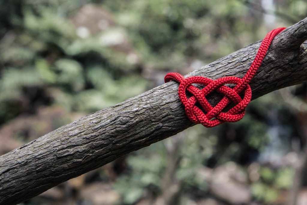 coeur en corde rouge sur branche de bois en forêt