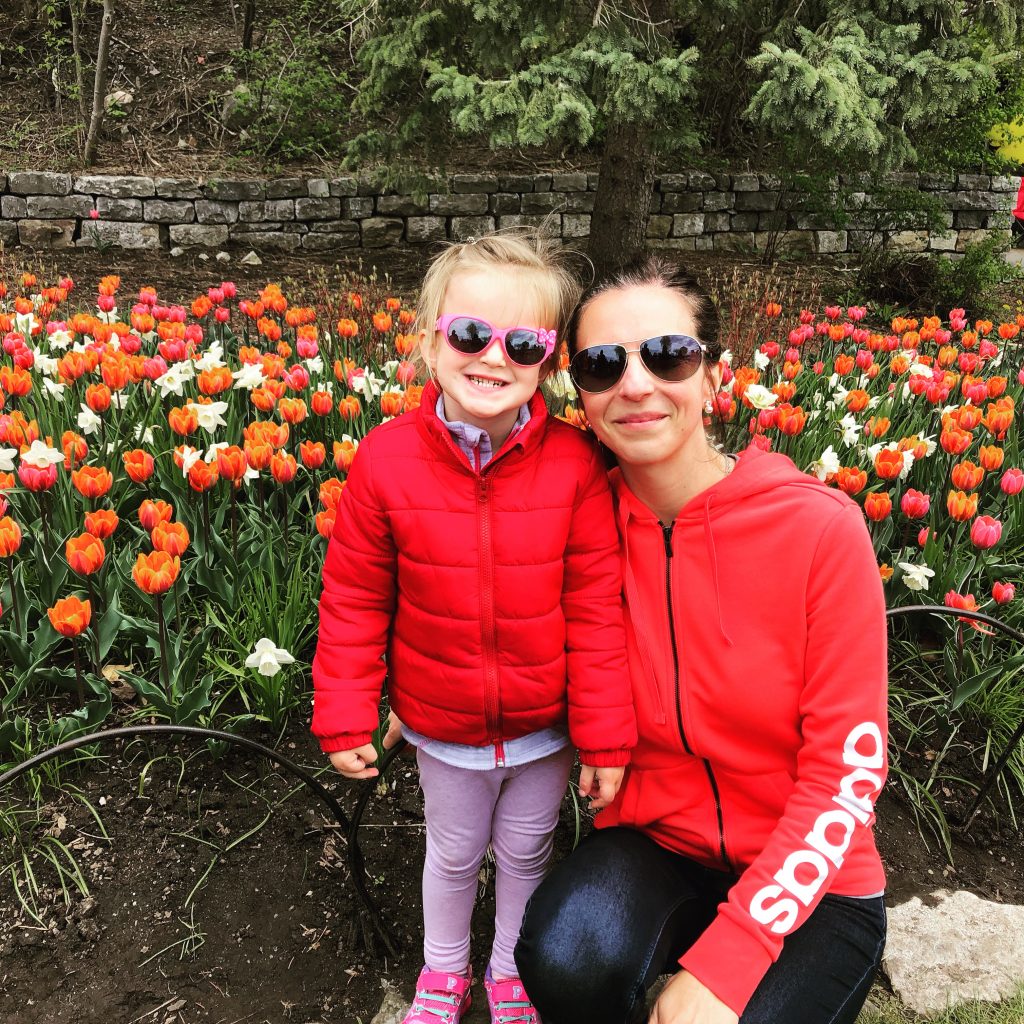 tulipes à ottawa