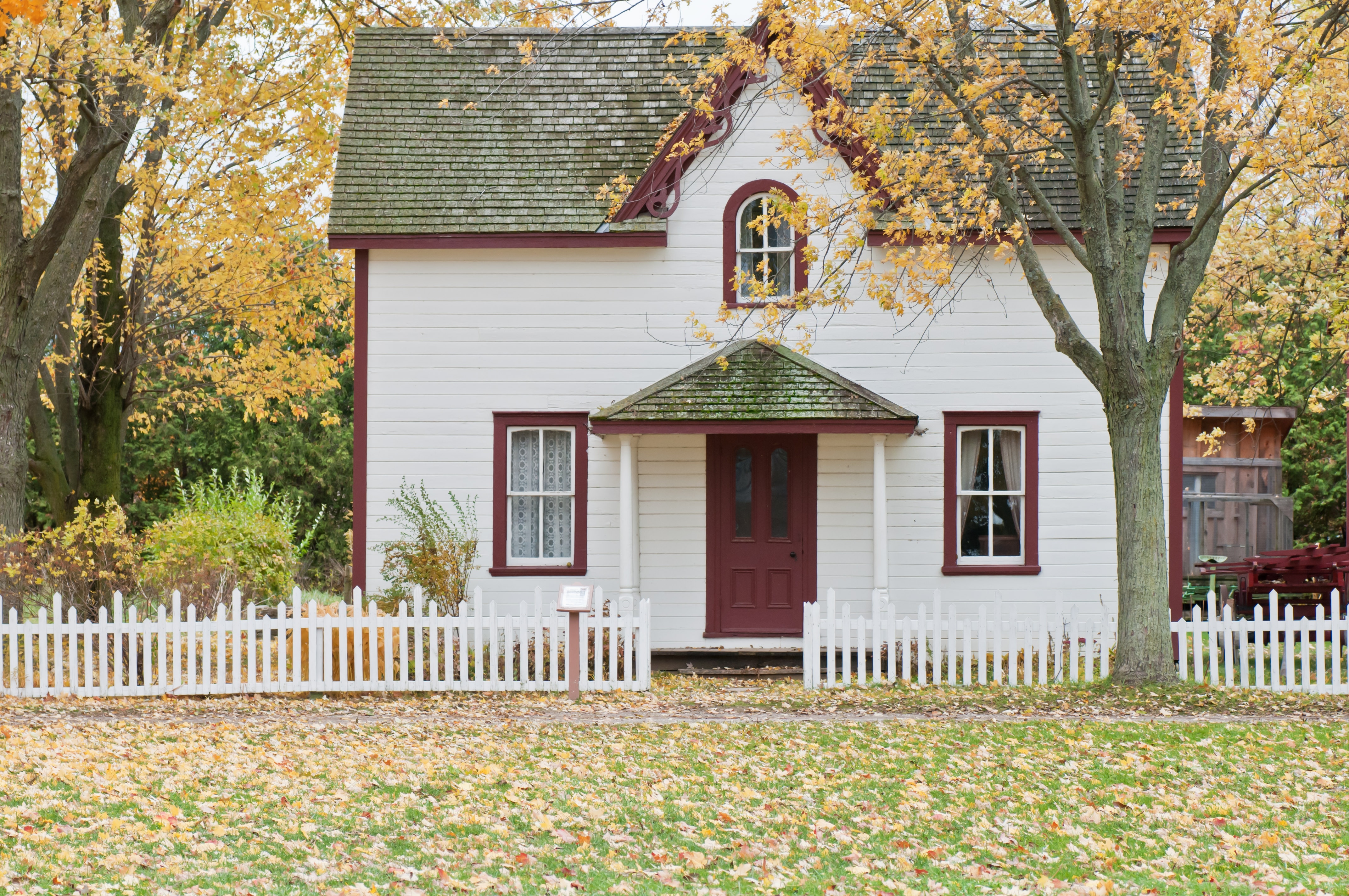 maison blanche automne feuilles jaunes