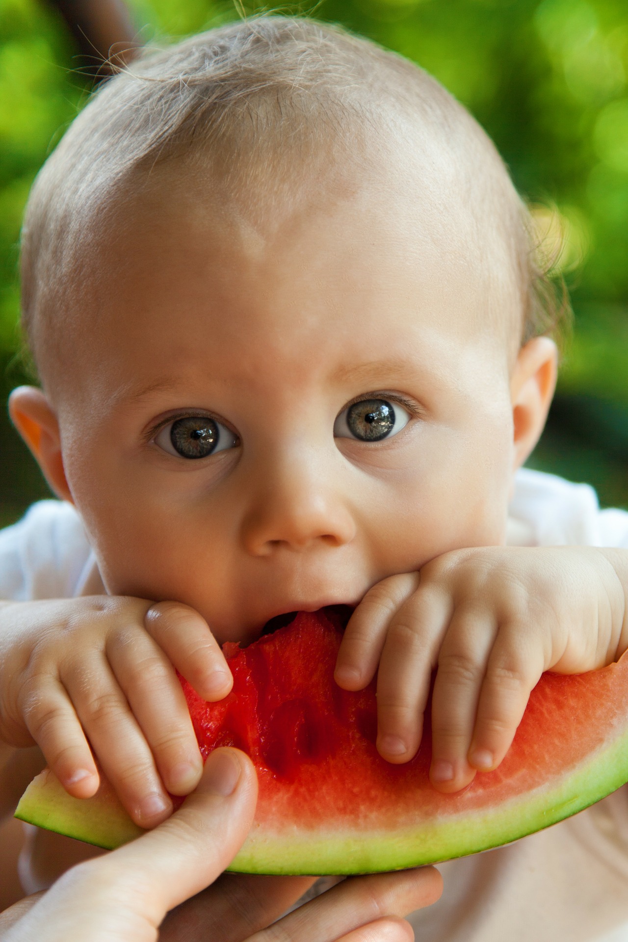 bébé manger melon d'eau