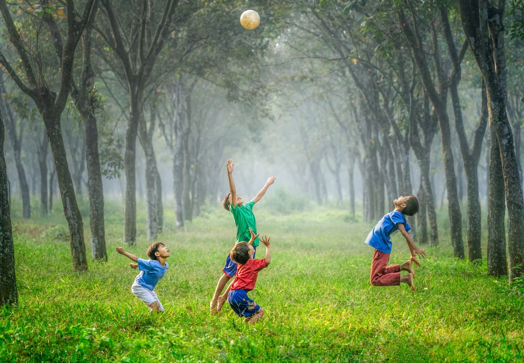 enfants jouent au ballon gazon forêt