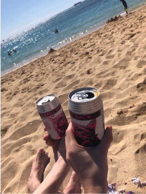 personnes qui tiennent deux cannettes de bière sur la plage