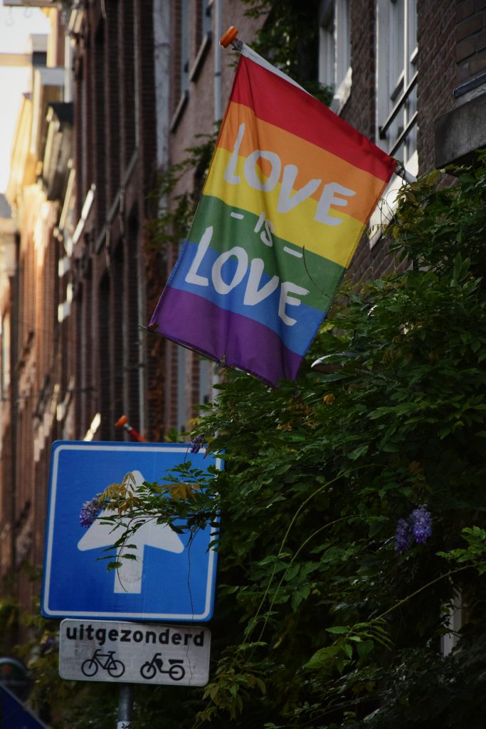 drapeau gai love is love