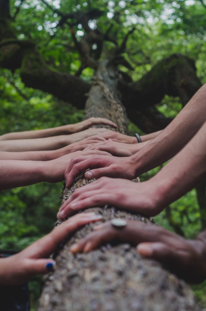 mains sur un arbre