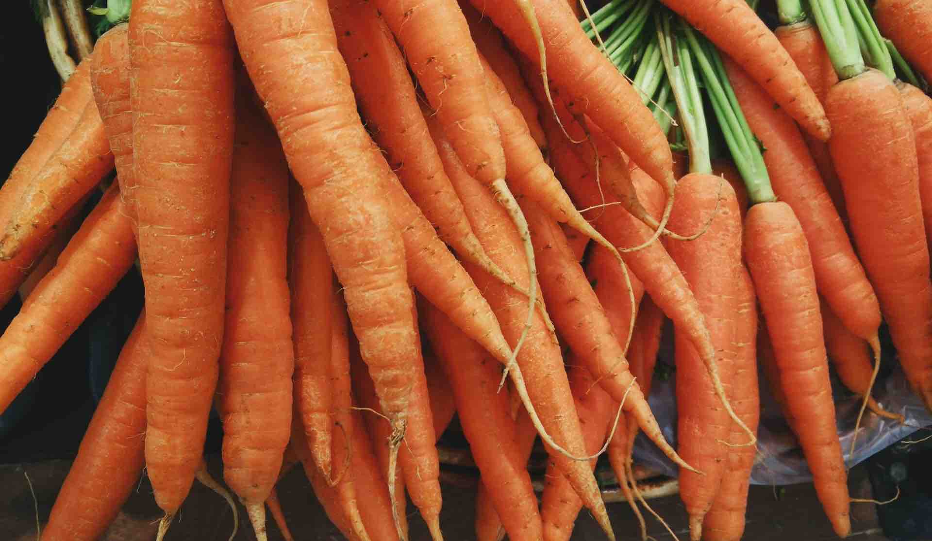 carottes orange poignée