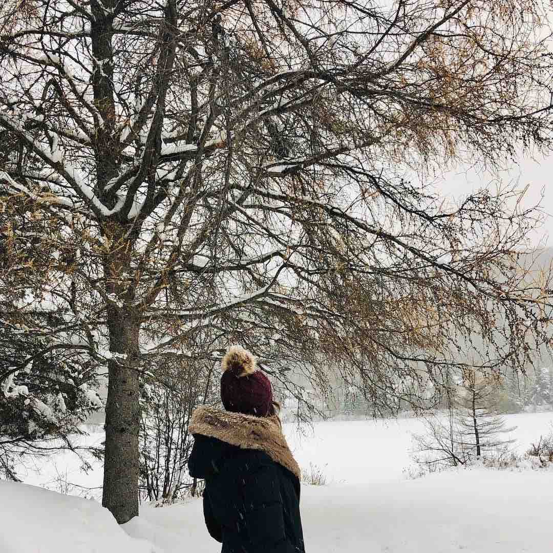 femme hiver départ tuque arbre