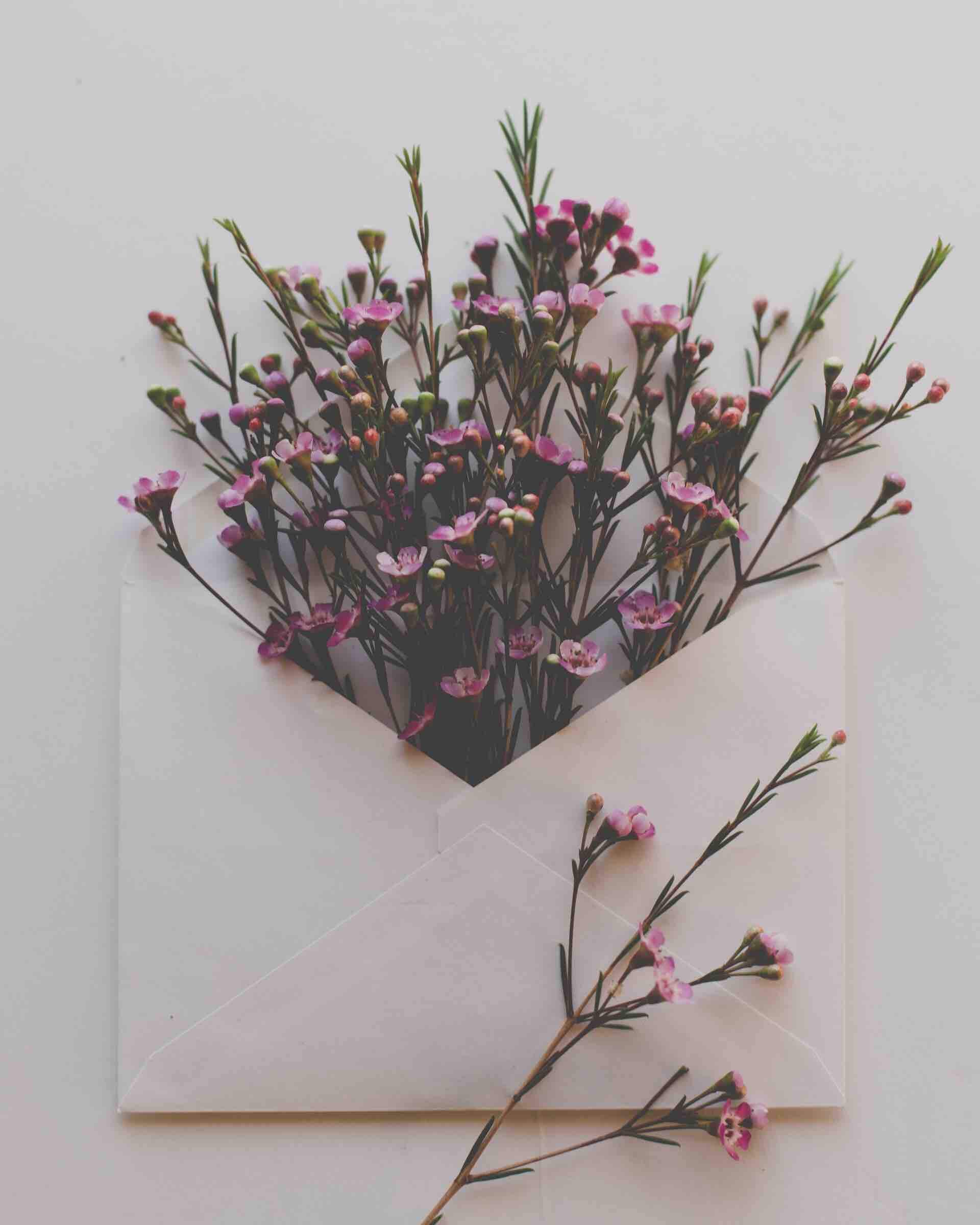 lettre fleurs bouquet enveloppe
