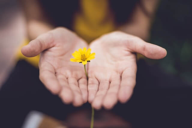 pardon offrir fleur jaune femme