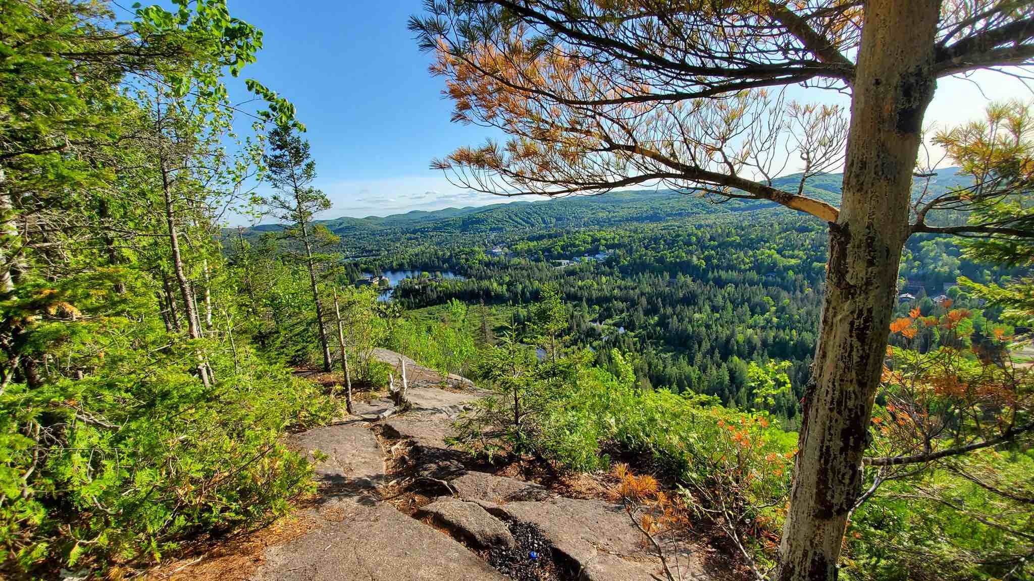 Parc nature vue montagne Québec