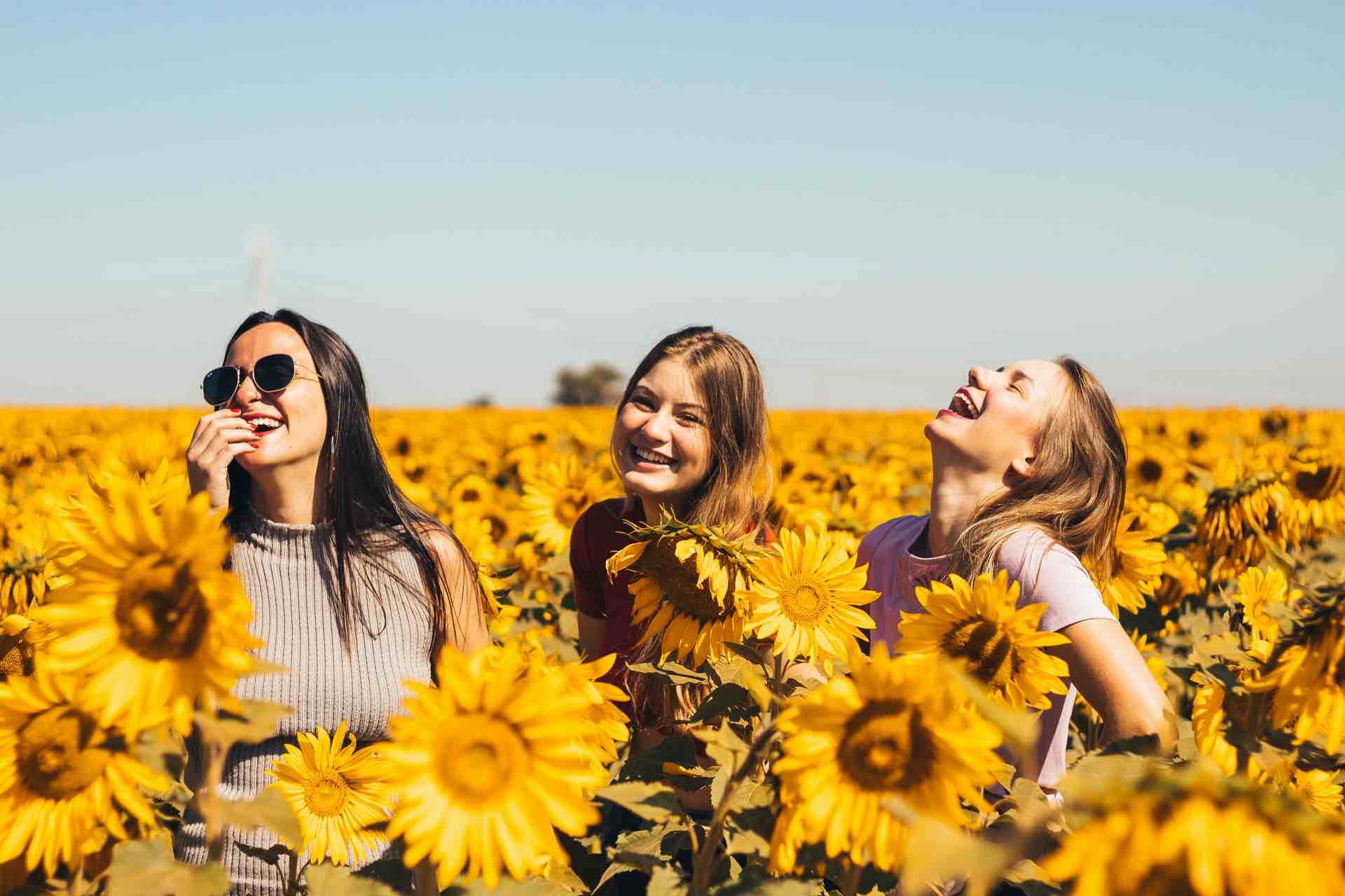 soleil champ de fleurs tournesol jaune amies amitié femme rire