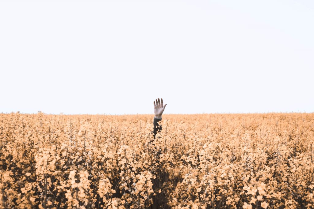main levée dans un champs
