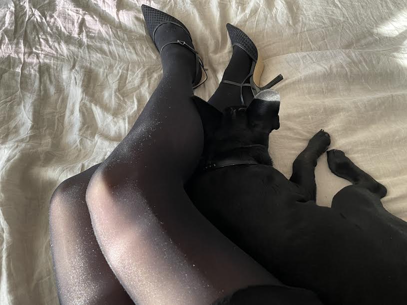 jambes collant chien lit