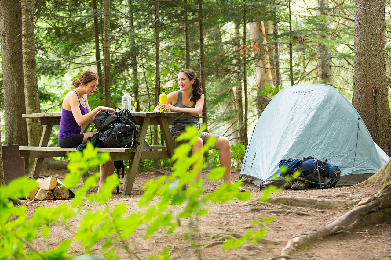 Go camping картинки