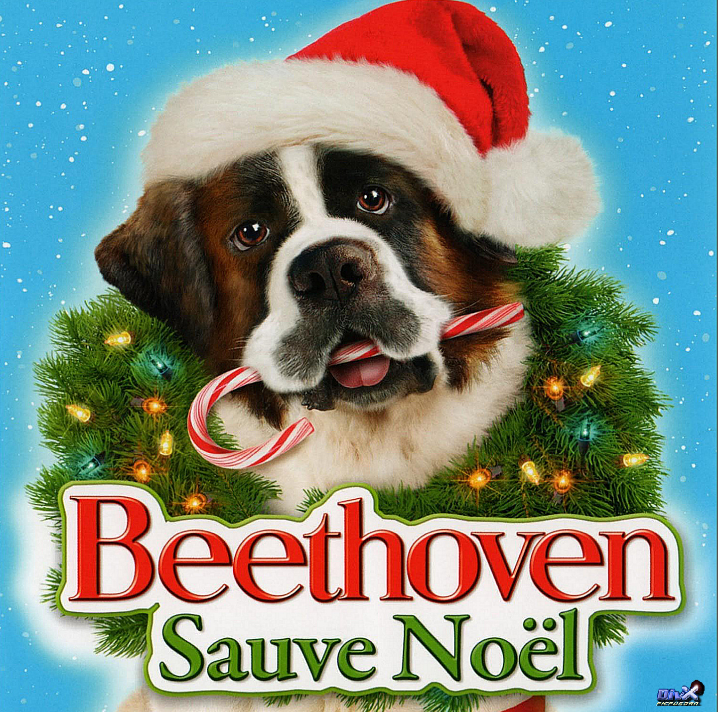 Рождественские приключения. Сенбернар Рождество. Saint Bernard Dog Christmas.