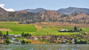 Vallée de l'Okanagan