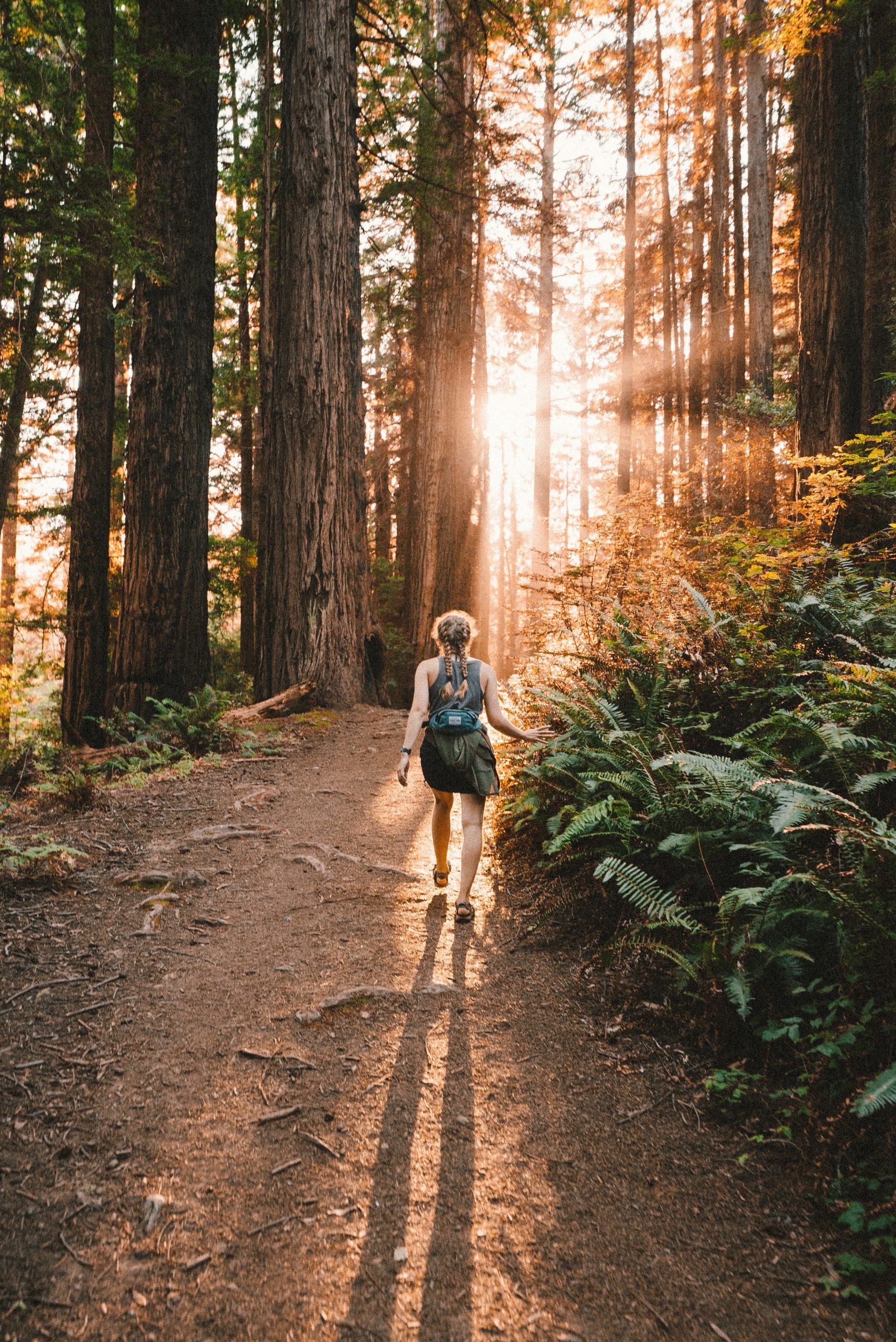 Randonnée pédestre hike hiking forest femme